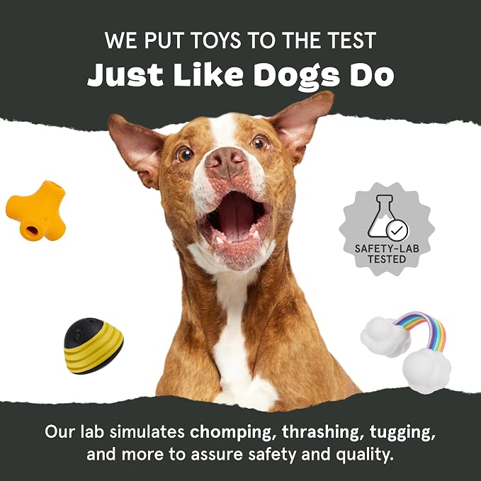 Barkbox Jelly Fetch Dog Toy for Medium Dogs – Perfect for Tug and Fetch Play, Durable Design with Strong Nylon Straps for Long-Lasting Fun