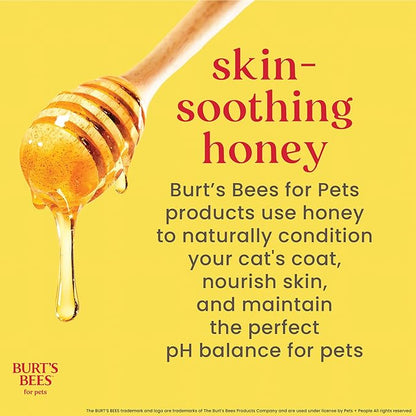 Burt's Bees for Pets Hypoallergenic Cat Shampoo with Shea Butter and Honey, Gentle Formula for Indoor Cats with Dry or Sensitive Skin, pH Balanced, Fragrance-Free, 10 Fl Oz - 6 Pack