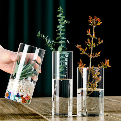 NUOBESTY Glass Flower Vase Hydroponic Cylinder Vase 10cm X 25cm High Borosilicate Glass Terrarium for Indoor Plant Display and Home Décor
