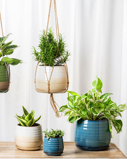 MISSYSSIM Ceramic Plant Pots with Drainage Holes and Saucers, Indoor Flower Pots for Plants Set of 3, 3.4+4.7+6.1 inch Cute Garden Pots Set for Succulent and Money Tree, Gift for Housewarmings, Blue