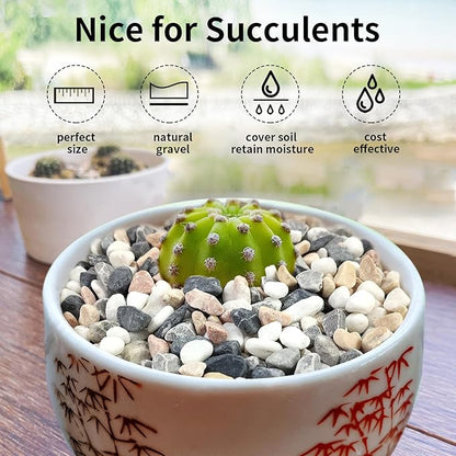 FANTIAN 2 lbs Succulent and Cactus Pebbles Gravel, 3/8 Inch Mixed Color Decorative River Rocks for Plants Indoor, Vases, Terrarium, Potted Top Dressing and Outdoor Decorative Stones