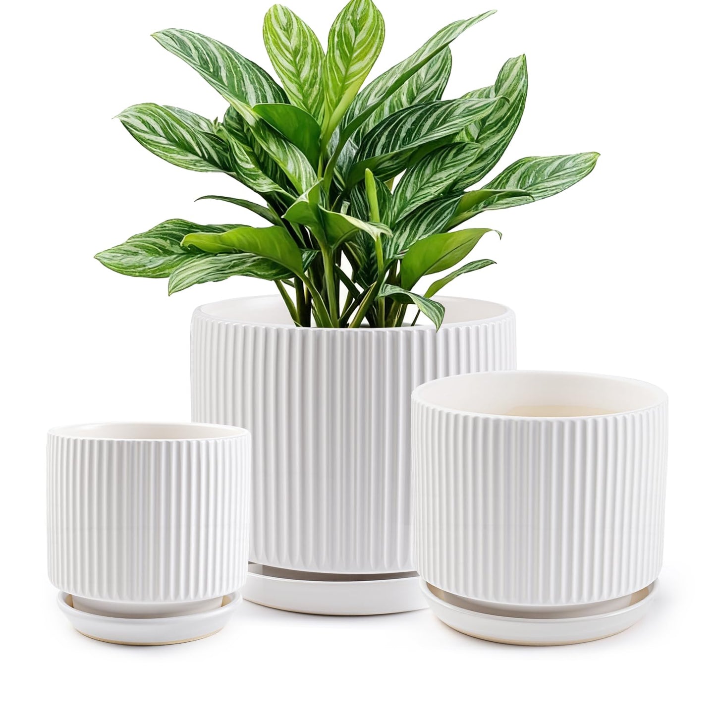 Ceramic-Flower-Pots-Sets-with-Saucer, 5/6/8 inch Small Planters for Indoor Plants with Drainage Hole, White Vertical Stripe Plant Pots for Home Decor, Outdoor Garden Pot For Succulent Cactus Herb