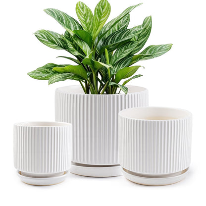 Ceramic-Flower-Pots-Sets-with-Saucer, 5/6/8 inch Small Planters for Indoor Plants with Drainage Hole, White Vertical Stripe Plant Pots for Home Decor, Outdoor Garden Pot For Succulent Cactus Herb