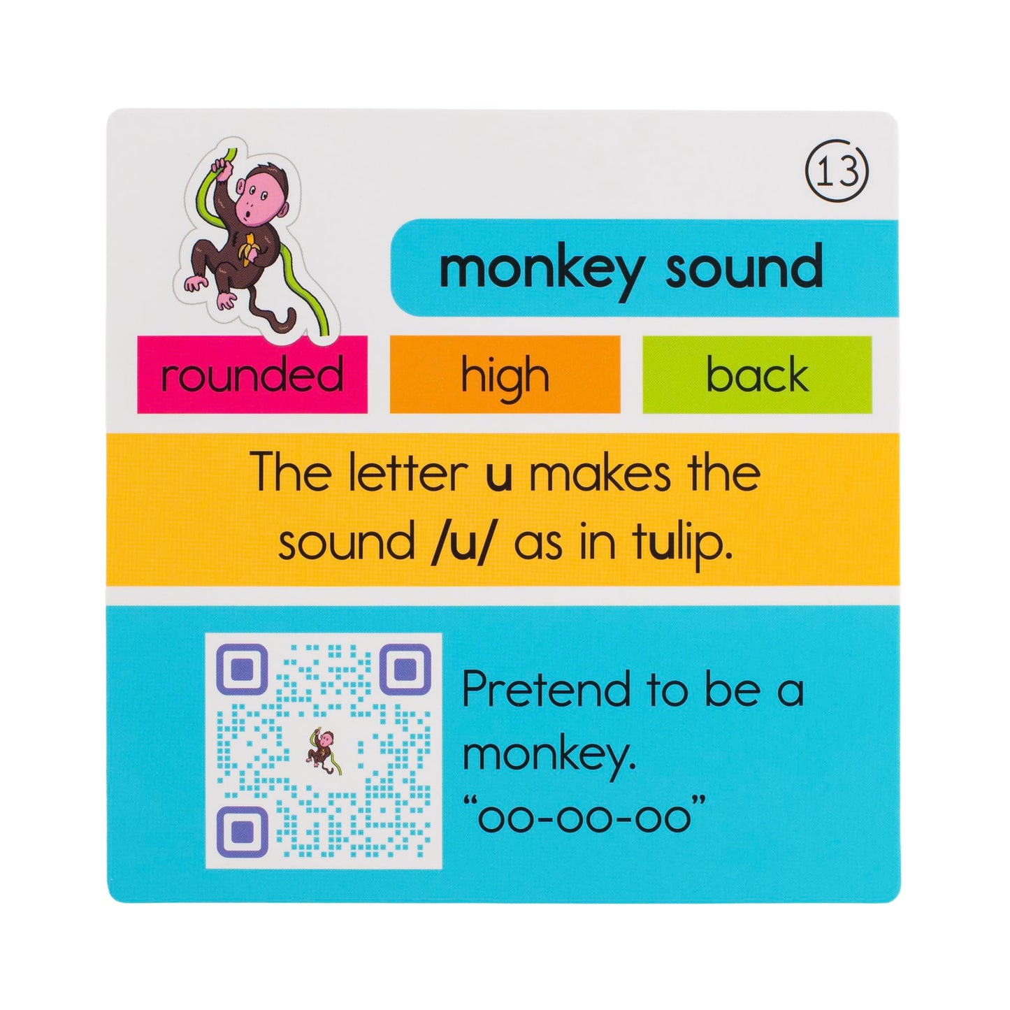 Bjorem Speech® 2nd Edition Big Box of Sound Cues: Comprehensive Phonetic Cards for Speech Therapy & Literacy Skills - Visual Learning Aids for Apraxia, Dyslexia & Early Readers