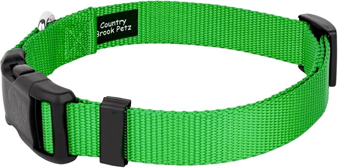 Country Brook Petz - Everyday Nylon Dog Collar and Leash - 10+ Cool Colors (3/8 Inch, 3XS, Hot Lime Green)