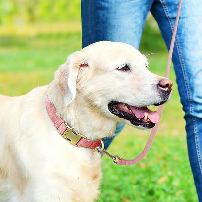 Genuine Leather Dog Collar - Adjustable Pet Collar with Quick Release Metal Buckle, Soft Skin Friendly Real Leather Collar for Small, Medium, Large Dogs (Pink Collar + Rope, S：Fit 8-16" Neck)