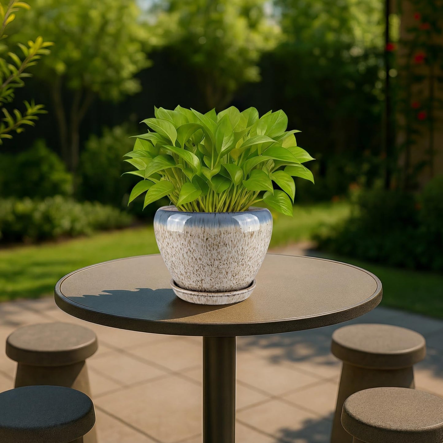 Deep Dream 6 Inch Plant Pots- Ceramic Planter Pot with Drainage Hole and Saucer, Round Flower Pot for Indoor Outdoor Succulent, Snake Plants and Cactus, Beige&Blue
