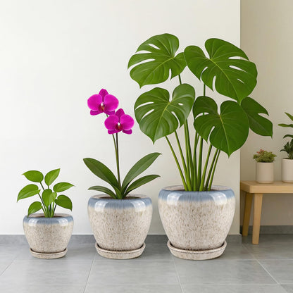 Deep Dream 6 Inch Plant Pots- Ceramic Planter Pot with Drainage Hole and Saucer, Round Flower Pot for Indoor Outdoor Succulent, Snake Plants and Cactus, Beige&Blue