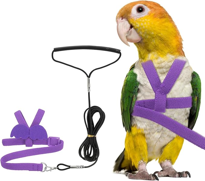 Bird Harness Leash, Adjustable Pet Parrot Bird Harness and Leash Lightweight Anti-Bite Flight Training Rope with Cute Wing, (Purple, M), Intended for Parrots/Pigeons/Budgies