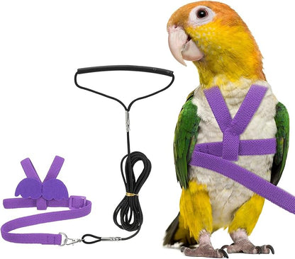 Bird Harness Leash, Adjustable Pet Parrot Bird Harness and Leash Lightweight Anti-Bite Flight Training Rope with Cute Wing, (Purple, L), Intended for Parrots/Pigeons/Budgies