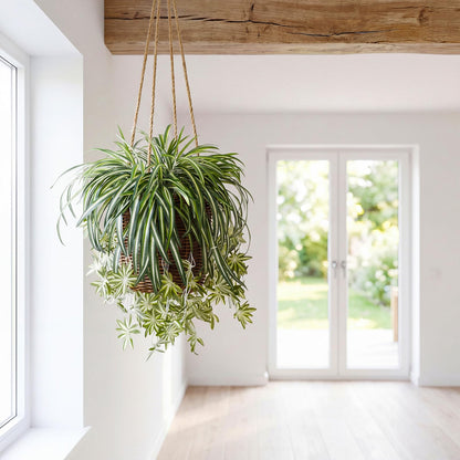 Hotop 4 Pcs Artificial Spider Plant 24 Inch Large Fake Hanging Greenery Plants Silk Faux Chlorophytum Comosum Artificial Flowers for Indoor Outdoor Wall Home Garden Backyard Office Wedding Decor