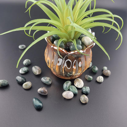 1,000 Carats Moss Agate Handpicked Tumbled Stones Crystals Chips Bulk Pocket Stones for Healing, Reiki, Meditation, Witchcraft and Home Decorations (Moss Agate)