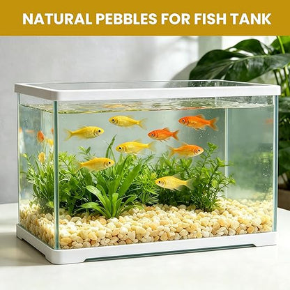 1/8 Inch Aquarium Gravel, Small Pebbles for Fish Tank, Indoor Plants & Succulents, Natural Mini River Rocks for Drainage, Terrarium, Top Dressing & Vase Filler, Cream Beige, 6LB