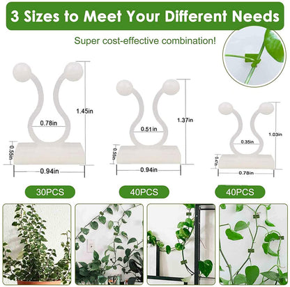 Lasyman Plant Clips-Plant Climbing Wall Fixture Clips 110PCS, Invisible Clips For Climbing Plants，Self-Adhesive plant wall clips For Plant Support, Sticky Plant Fixture Clips Plant Holder For Pothos