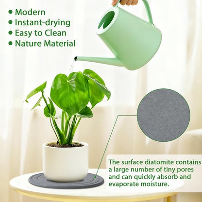 Plant Saucers for Indoors, 3 Pack 6 8 10 Inch Quick Drying Diatomite Plant Drip Water Catcher Trays for Pots, Diatomaceous Earth Planter Drainage Saucers Plates to Catch Water for Flower, Stone Gray