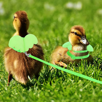 KAMA BRIDAL Duck Walking Harness and Leash Chicken Duck Outdoor Training Rope Adjustable Rope for Pet Poultry Hen Cock (S, Green)