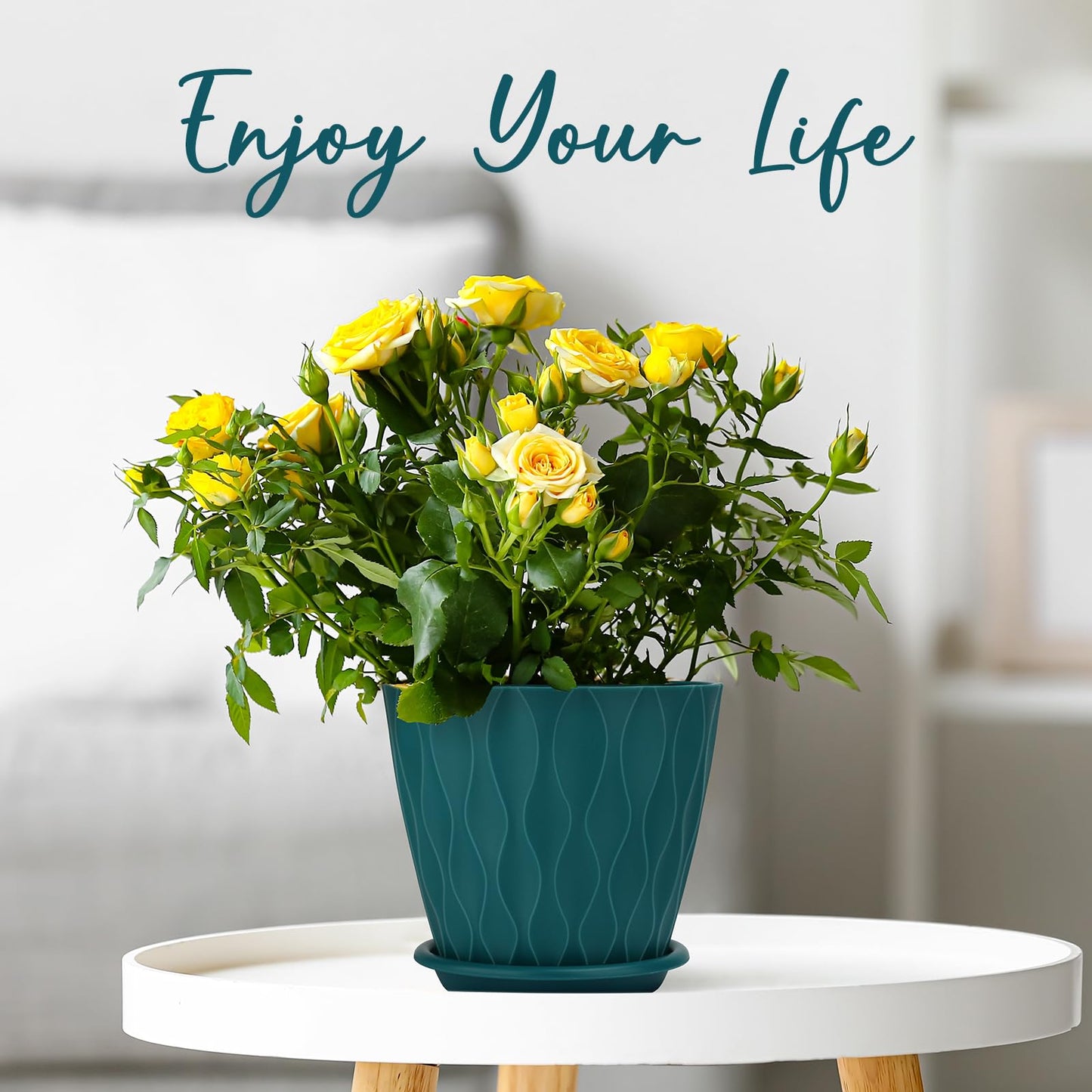 YNNICO 6 inch Plant Pots, 5 Pack Flower Pots Outdoor Indoor, Planters with Drainage Hole and Tray Saucer(Blue