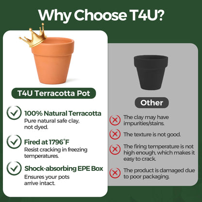 T4U Small Clay Pots for Crafts (20pcs): Mini Terracotta Pots 3 Inch with Drainage Holes, Terra Cotta Pots for Succulent Cactus Plants, DIY Mini Terracotta Pots, Idea Gifts for Party Decor