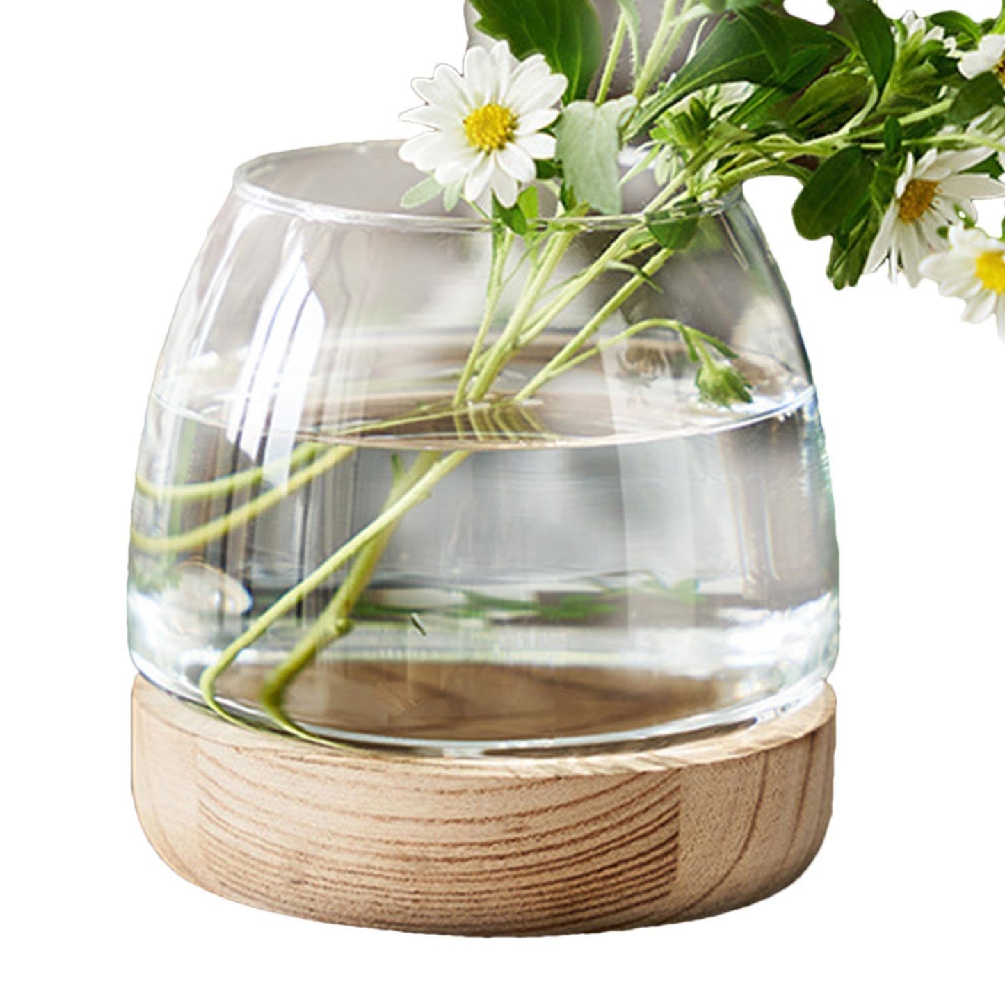 Hydroponic Vase - Durablee Hydroponic Plant Vase, Transparent Glass Fish Bowl Vase with Wooden Support | Wide Mouth Terrarium Flower Vase, Glass Hydroponic Planter Clear Fish Bowl for Home Decoration