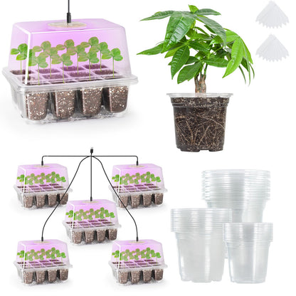 The Bundle of Bonviee 5 Packs Seed Starter Tray with Grow Light and 36 Packs Variety Sizes Clear Nursery Pots