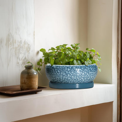EPFamily Ceramic Bonsai Pots - 8 Inch Succulent Planters Indoor Outdoor, Bonsai Planters with Drainage Hole and Saucer, Shallow Planter, Round Planter Bowl, Home Decor, Gifts for Plant Lovers, Blue