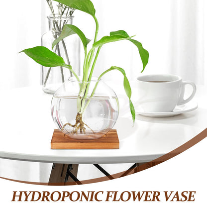 LIFKOME Glass Hydroponic Planter Bottle with Retro Wooden Base, Desktop Glass Plant Vase for Home and Office Décor, Flower Hydroponics Terrarium for Indoor Gardening