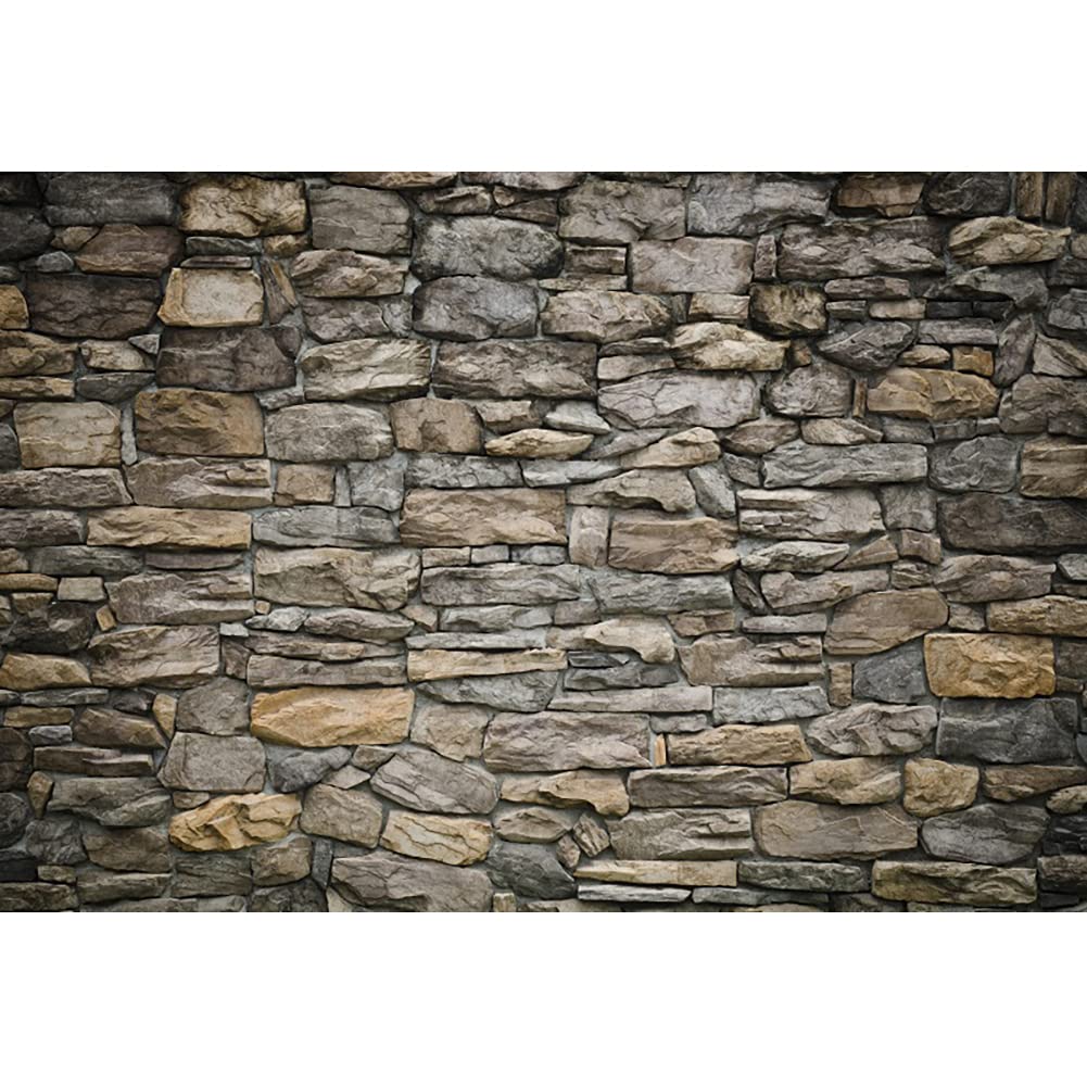 Laeacco 8x6FT Vintage Stone Brick Wall Backdrop Grunge Rock Stone Castle Wall Photography Background Retro Birthday Party Halloween Photo Studio Newborn Baby Shower Adults Portrait Photo Shooting