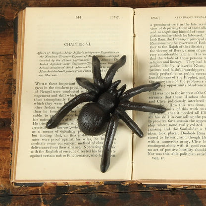 HomArt Spider - Cast Iron (Antique Black)