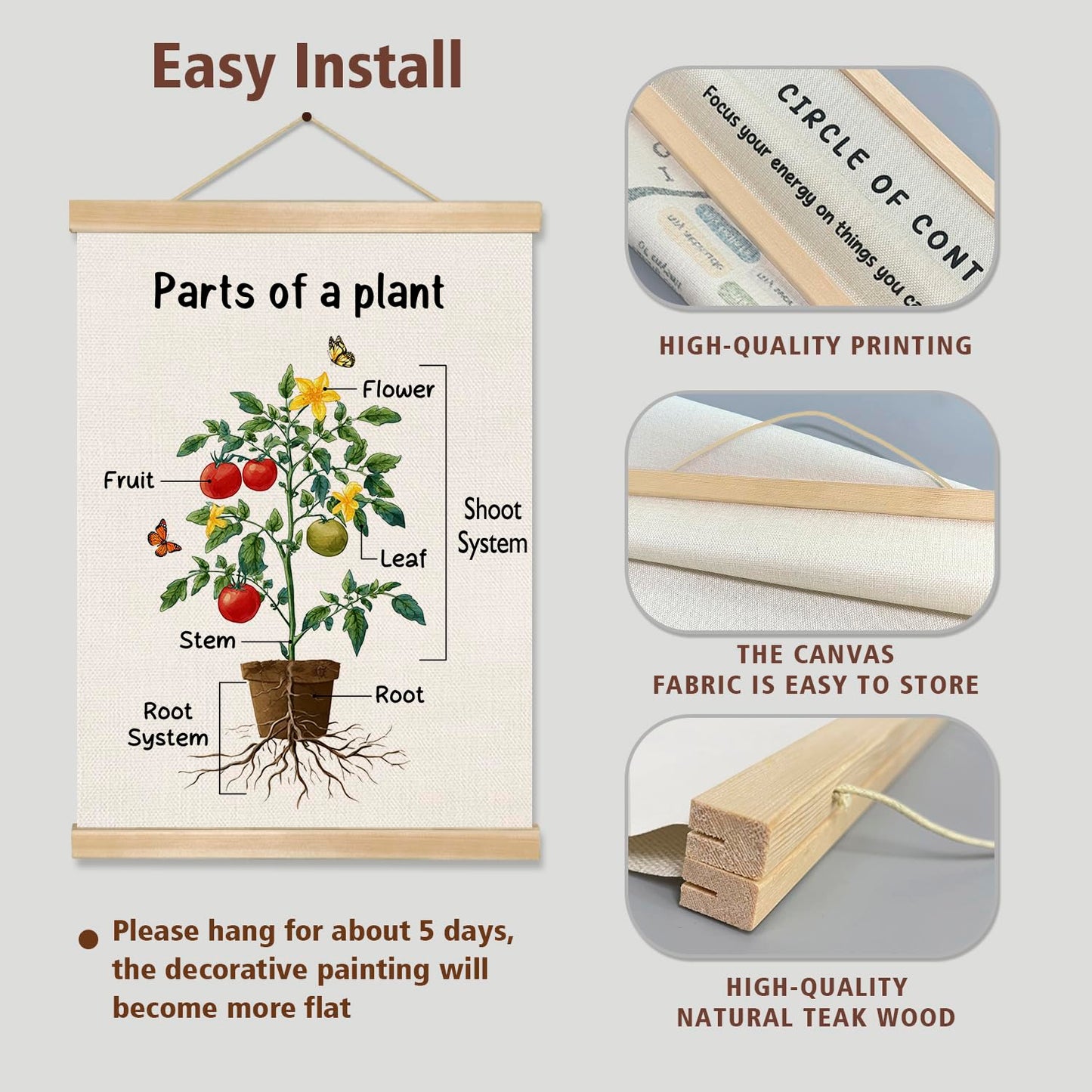 Parts of a Plant Educational Poster,14x18.5 Inch Linen Canvas Wall Botanical Chart Hanging Poster, Science Learning Classroom, Nursery, Homeschool,Kids Room Decoration (Green-Parts of a plant)
