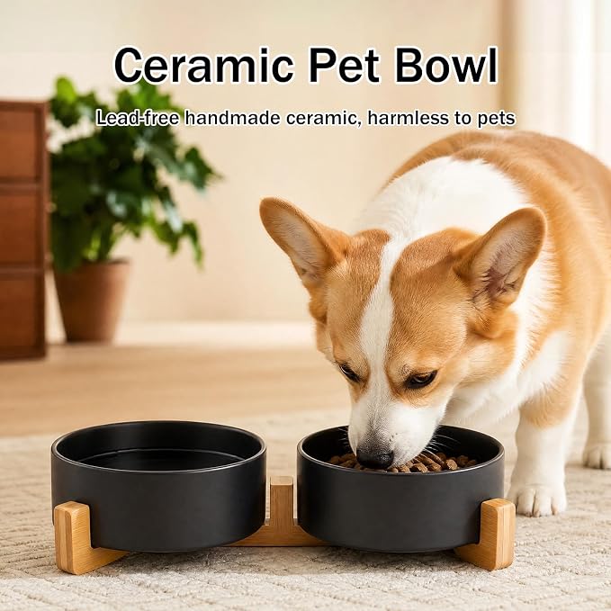 MateeyLife Ceramic Dog and Cat Bowls with Stand, 2-Pack Food and Water Bowl Set - Non-Slip Pet Bowls for Cats,Puppies and Small Dogs, 13.5OZ（Black）