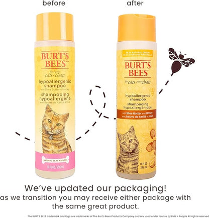 BURT'S BEES FOR PETS Hypoallergenic Cat Shampoo with Shea Butter and Honey, Gentle Formula for Indoor Cats with Dry or Sensitive Skin, pH Balanced, Fragrance-Free, 10 Fl Oz - 2 Pack