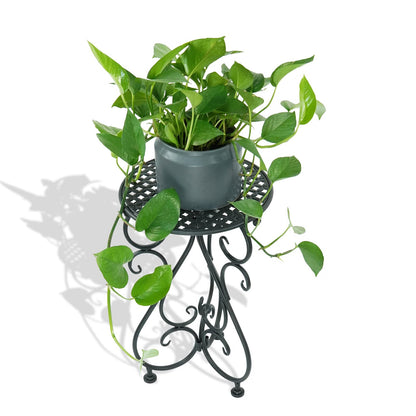NAKUPE Plant Stand Indoor & Outdoor Flower Pot Stand 17" Tall Metal Plant Table,Single Planter Holder for Patio, Porch, Corner, Garden Decor, Balcony, Black(1 Pack)