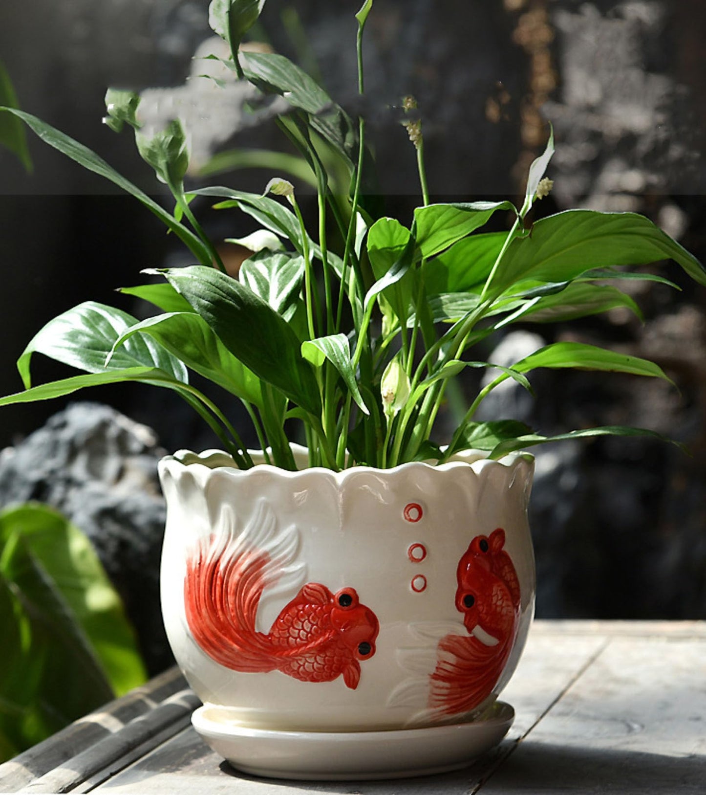 Brother Yixiu Ceramic Home/Garden Modern Flower Planter Pot with Saucer/Tray - Outside Red Fish Design,Meaning More Than Enough Year After Year (Like a Fish in Water)