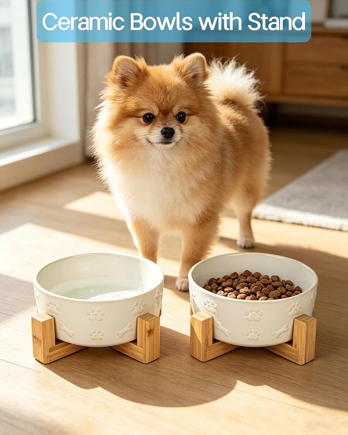 Small Dog Bowls with Stand, 5.5 inch Ceramic Dog Food Water Bowl Set for Small Dogs Puppy Cats Pet Feeding Dish, White with Cute Pattern