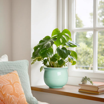 Teagas 6 Inch African Violet Pots, Ceramic Self Watering Planter with Absorbent Inner Pot, Round Pots for Indoor Plants Outdoor, Ceramic Flower Pot, Office Decor, Plant Lover Gifts, Mint Green