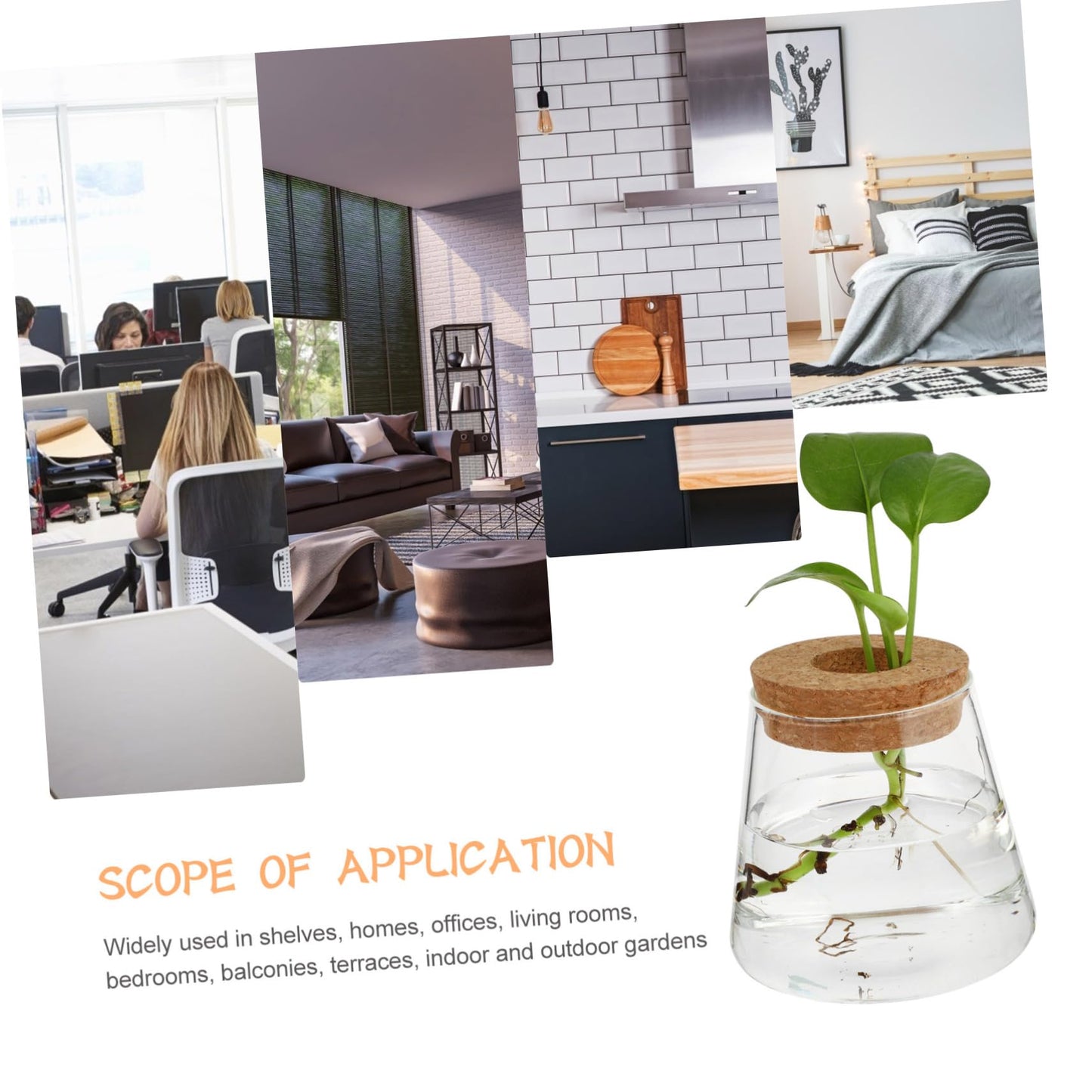 VALICLUD 2Pcs Glass Desktop Vases Hydroponics Plant Containers Terrarium for Office Home Decor Glass and Wood Material Space Saving Propagation Jars
