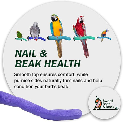 Sweet Feet and Beak Safety Pumice Perch - Trims Nails and Beak - Promotes Healthy Feet - Safe Non-Toxic Bird Supplies for Bird Cages - Small 8" - Purple