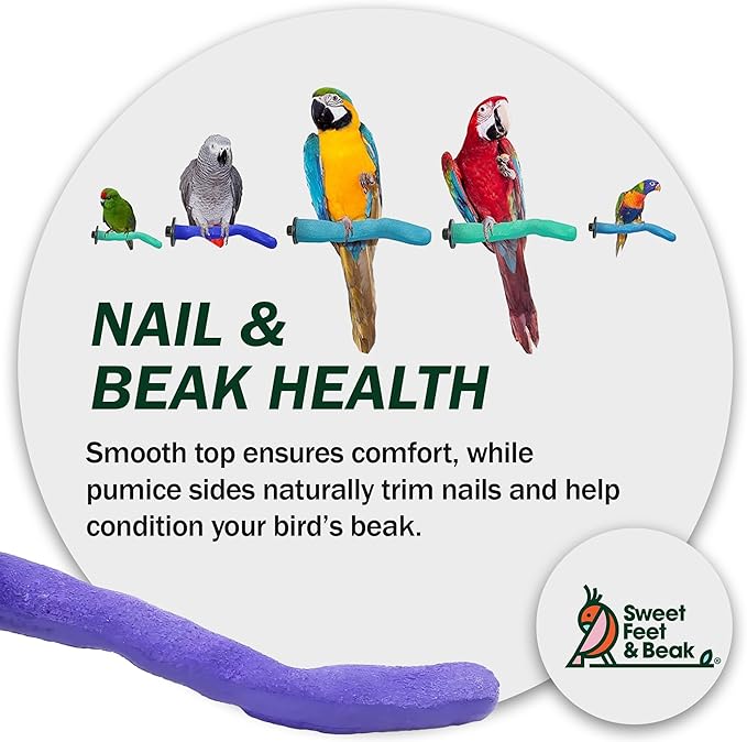 Sweet Feet & Beak Safety Pumice Bird Perch, Medium 1-1/4" X 12", Lightweight Grinding Bird Perches for Cage - Bird Nail Trimming Perch for Healthy Beak & Feet - Multi-Size & Color Parrot Stand- Purple