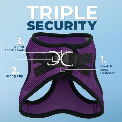 Best Pet Supplies Voyager Step-in Air All Weather Mesh Harness and Reflective Dog 5ft Leash Combo with Neoprene Handle, for Small, Medium and Large Breed Puppies - Purple/Black Trim, XX-Small