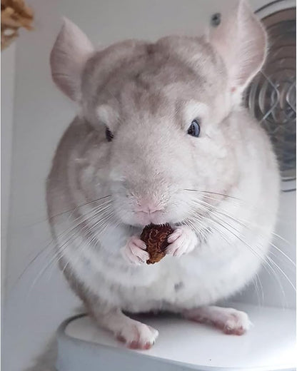 Exotic Nutrition Chinchilla Diet with Rose HIPS 18 lb. - Nutritionally Complete Natural Healthy Pellet Food for Pet Chinchillas