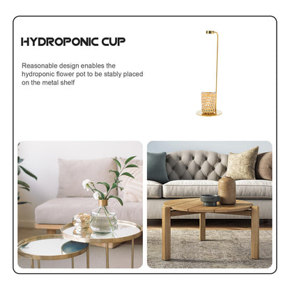 EXAOMBLE Hydroponic Vase with Glass Cup and Stand, Nordic Style Dried Flower Container Plant Terrarium for Home Decor,