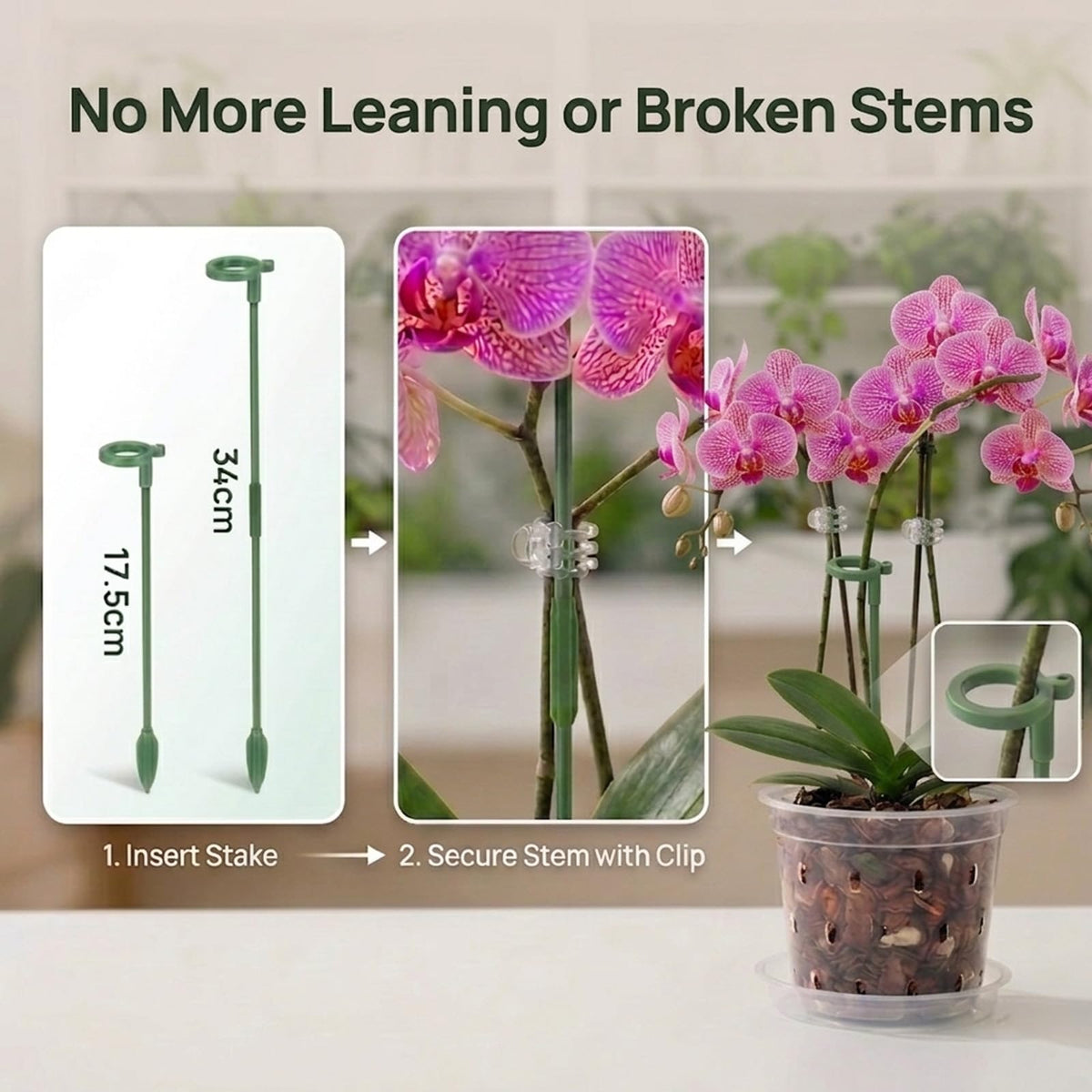 WTXHOP 3/4/5/6 Inch Orchid Pot, 12 Pack Clear Orchid Pots with Holes, Saucer and Plant Stakes for Repotting, Plastic Plant Pot for Indoor & Outdoor Plants