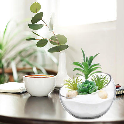 GANAZONO Succulent Planter Pot Set of 2 Half-Round Glass Hydroponic Flower Bowls for Indoor Plants and Home Decoration 5.90X4.33X2.36 Inches