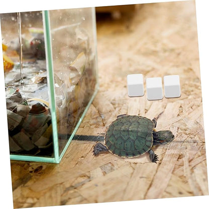 BESPORTBLE 6pcs Mineral Block Chew Toy for Birds Reptiles Turtles Pets Nutrient Source for Health Digestion and Immune Support