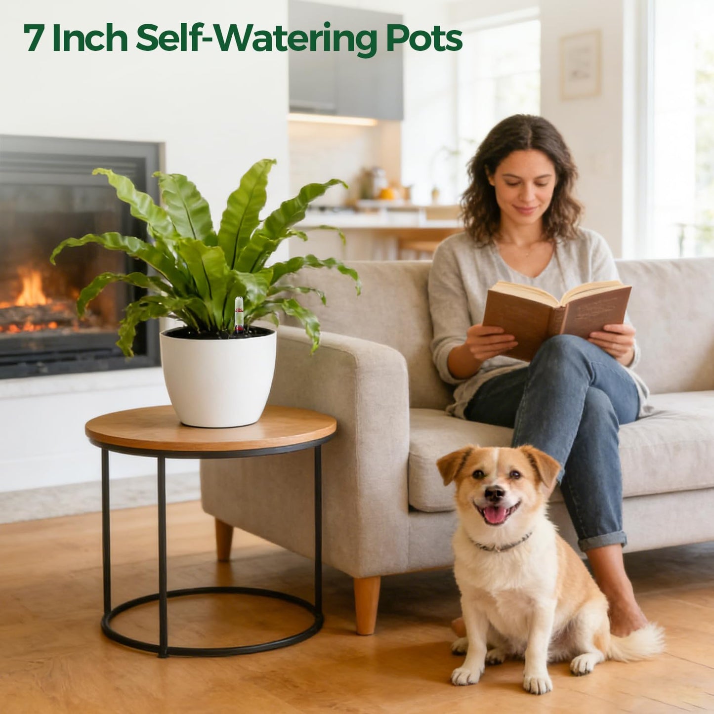 T4U Self Watering Pots for Indoor Plants, 7 Inch Self Watering Planters with Water Level Indicator, Bottom Watering African Violet Pots for Beginners & Busy Plant Owners, BPA-Free (2 Pack, White)