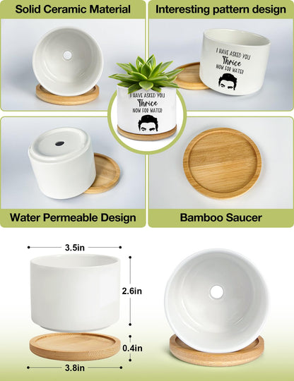 PWHINGN I Have Asked You Thrice Now for Water Ceramic Succulent Planter Pot, Funny Plants Pots Schitts Merchandise Gifts, for Women Mom Grandma Plant Lovers Gifts - 3.5 inch(Plant Not Included)