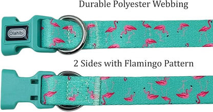 Dog Collar Leash Set, Flamingo Pattern, Polyester Material, Adjustable Collar and 5ft Matching Leash, for Medium Dogs.(M, Green Flamingo)