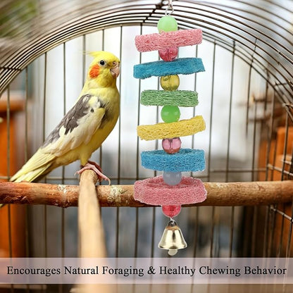 Hypeety Bird Toys Parrot Hanging Chew Toys Natural Colorful Loofah Shred and Preen Swing Bird Bell Cage Parrot Toys