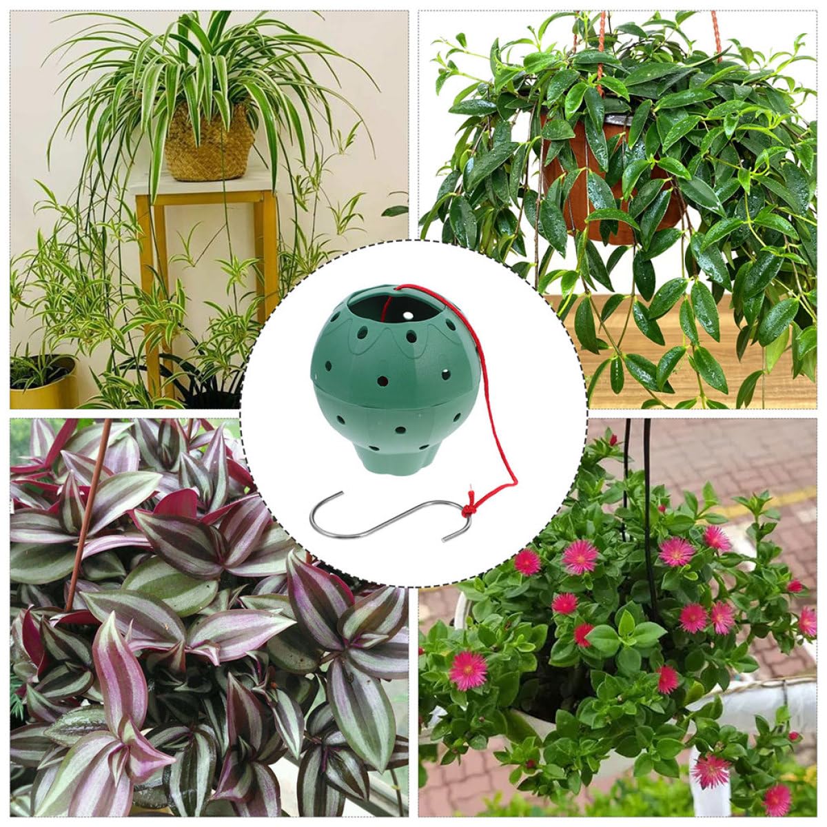 HAKIDZEL 5pcs Plastic Hanging Planters for Succulents and Strawberries, Multi-Hole Round Seed Starting Pots, Small Indoor Garden Containers for Hydroponic and Balcony Planting