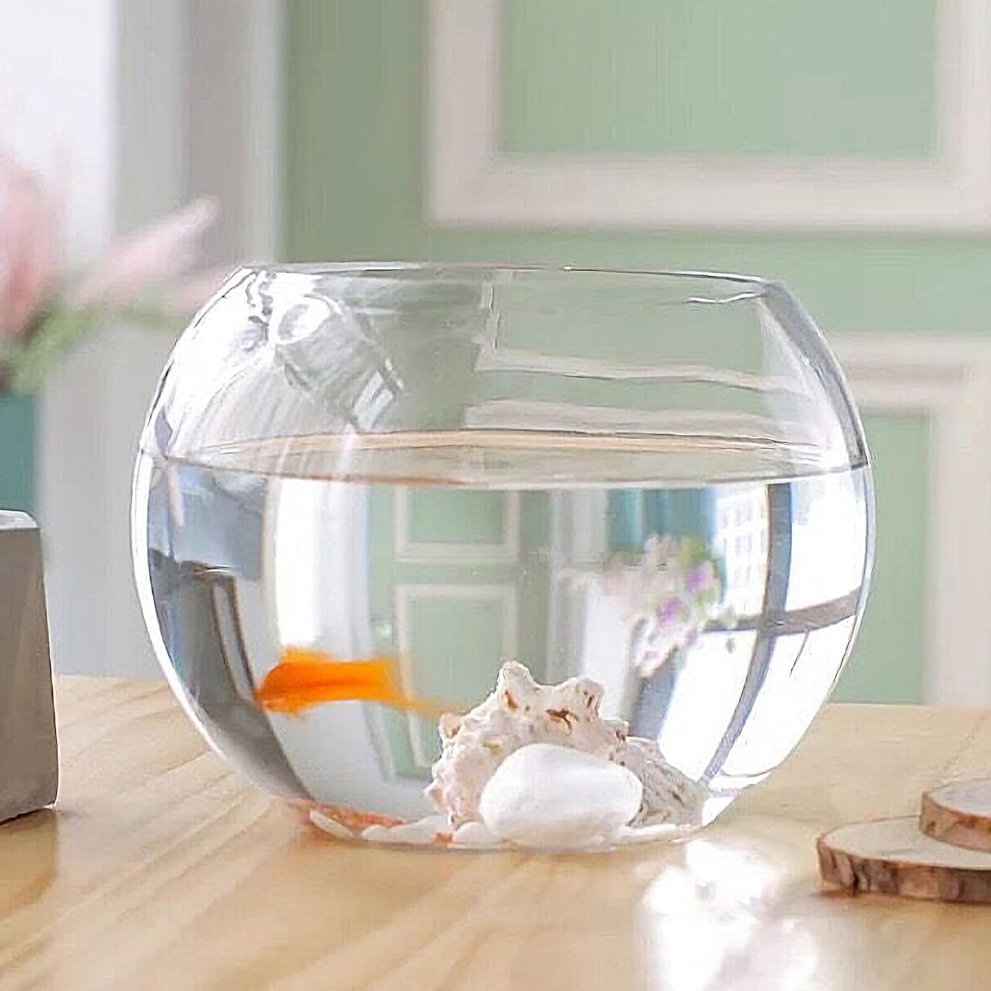 JOINPAYA Glass Hydroponics Vase 20cm Round Bulb Plant Holder Decorative Fish Tank for Desktop Home Office Succulent Terrarium